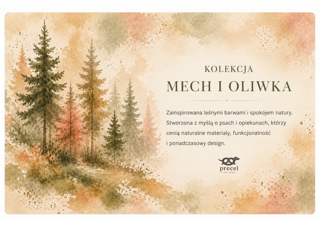 projekt bez nazwy(2)