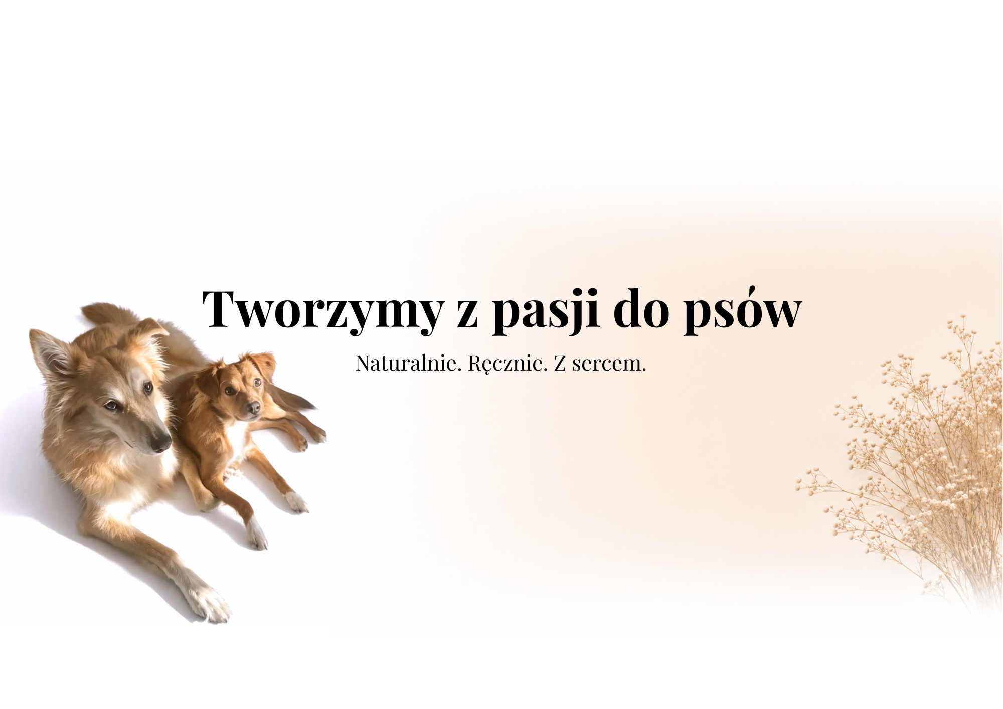 Tworzymy Z Pasji Do Psow